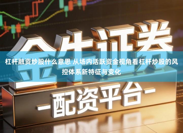 杠杆融资炒股什么意思 从场内活跃资金视角看杠杆炒股的风控体系新特征与变化